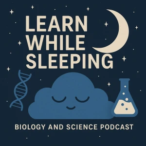 Learn While Sleeping