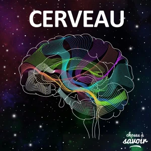 Choses à Savoir CERVEAU