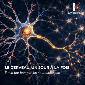 Le cerveau, un jour à la fois.