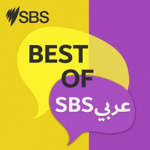 عربي Best of SBS