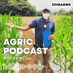 Brian Agric Podcast