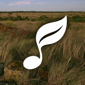 Mello Relaxing Music