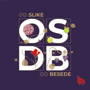 Od slike do besede