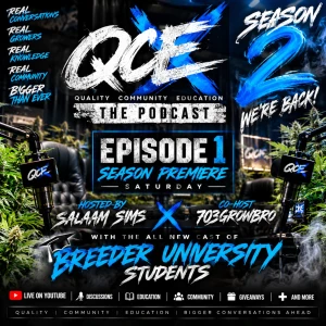 QCE The Podcast Season 2 Episode:1