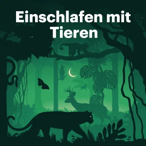 Einschlafen mit Tieren