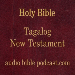 ABP - Tagalog Bible - New Testament - January Start