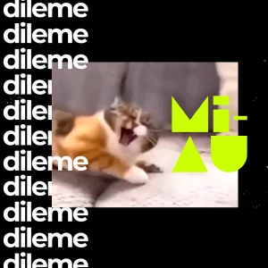 MIAU