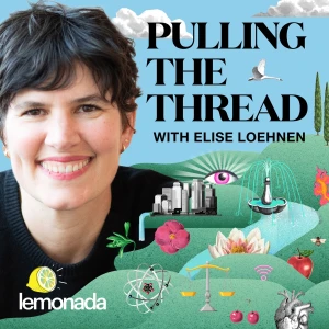 Pulling The Thread with Elise Loehnen