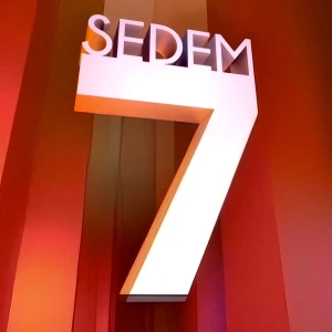 SEDEM