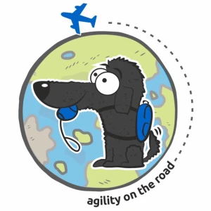 Agility on the road