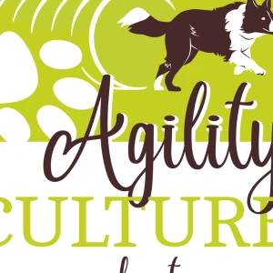 Agility Culture
