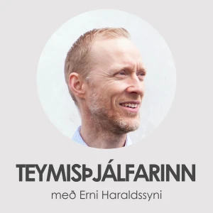 Teymisþjálfarinn