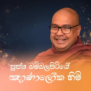 බම්බලපිටියේ ඤාණාලෝක ස්වාමීන් වහන්සේ (Ven. Bambalapitiye Gnana