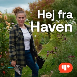 Hej fra Haven