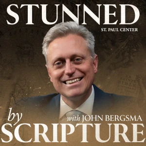 Stunned by Scripture