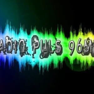 Puls Despotovac