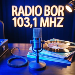 Radio Bor