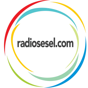 Radiosesel