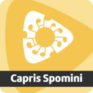 Radio Capris Spomini