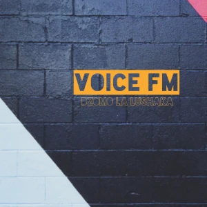 Voice FM 1105