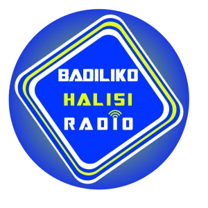 Badiliko Halisi Radio