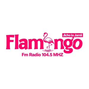 FLAMINGO FM RADIO