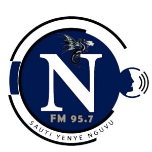 N-FM Radio