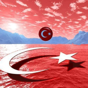 Radyo Yankı