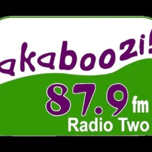 Akaboozi