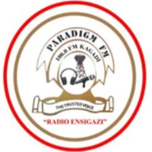 Paradigm FM 100.0