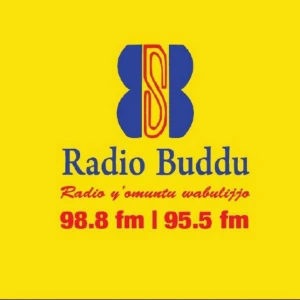 Radio Buddu