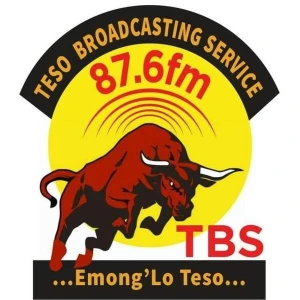 TBS The BULL