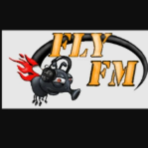 Radio FLYFM