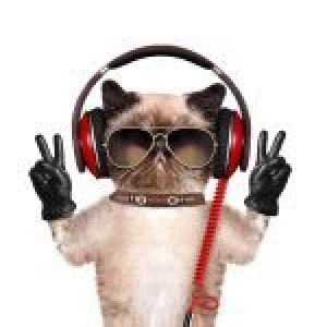 RADIOEX