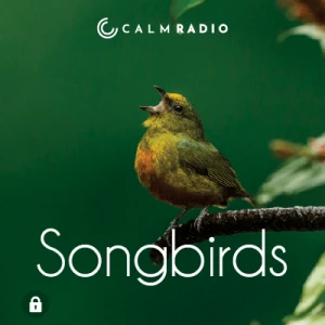Calm Radio - Calm Birdsong