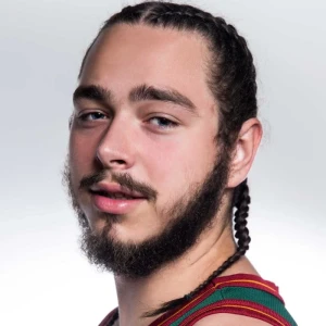 Post Malone - HITS