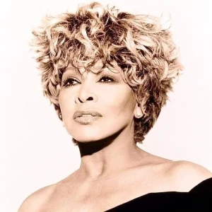 Exclusively Tina Turner - Hits