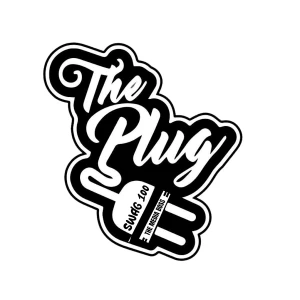 100.1 FM THE PLUG