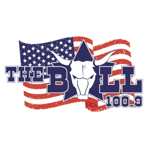 100.9 The Bull