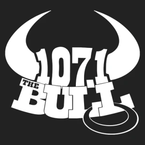 107.1 The Bull