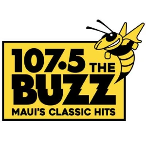 107.5 The Buzz