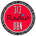 313 DBN Radio