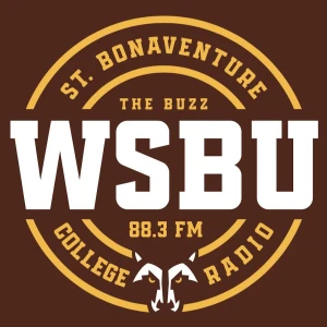 88.3 The Buzz