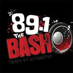 89.1 The Bash