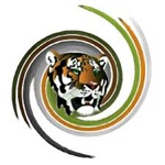 93.3 Tiger FM logo