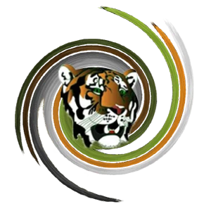 TigerFM 93.3