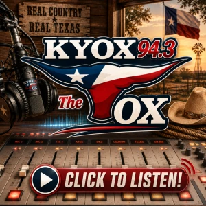 94.3 The Ox