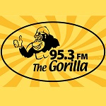 95.3 Gorilla