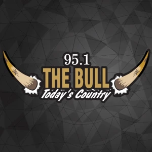 95.1 The Bull