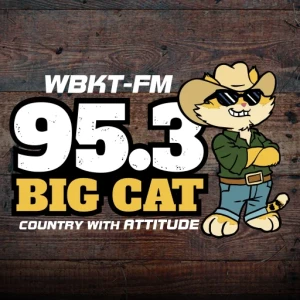 95.3 Big Cat